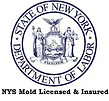 NYS Mold (1)